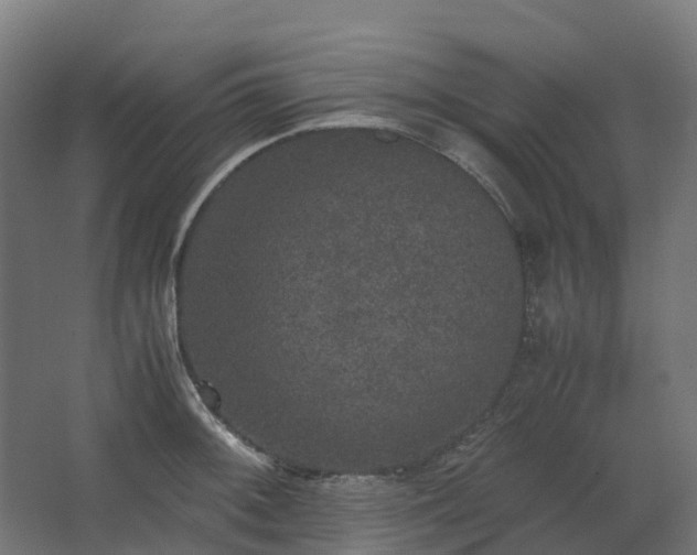 X0000067851092200604201301