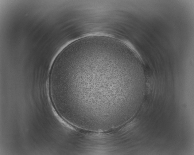 X0000067851100200604201301
