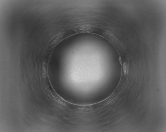 X0000067851107200604201300