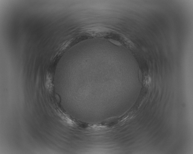 X0000067851108200604201300