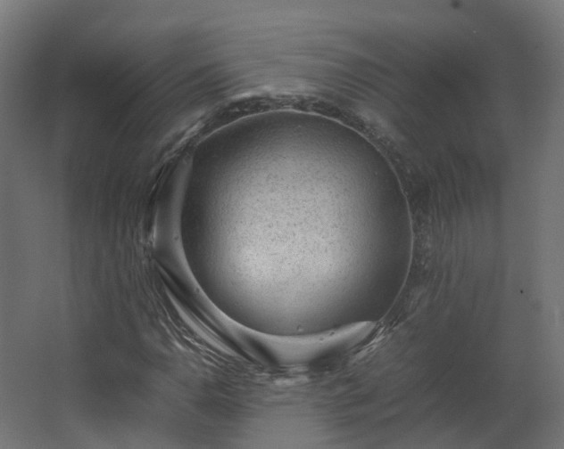 X0000067851110200604201300