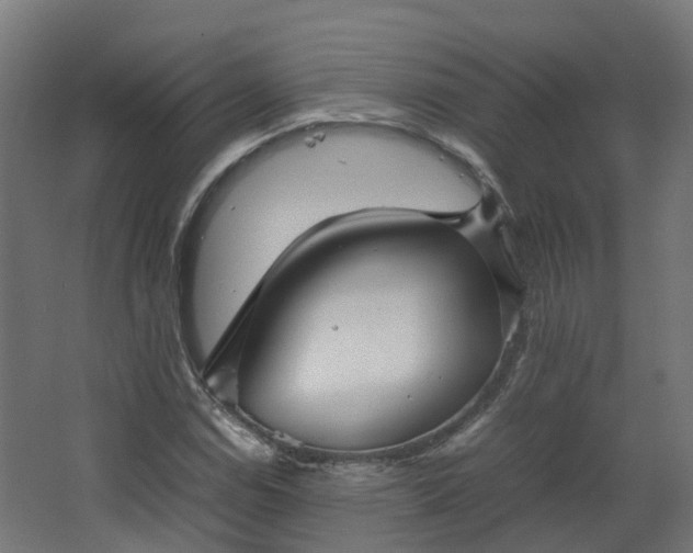 X0000067851114200604201300