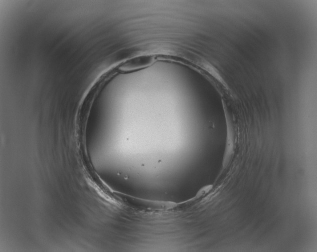 X0000067851116200604201300