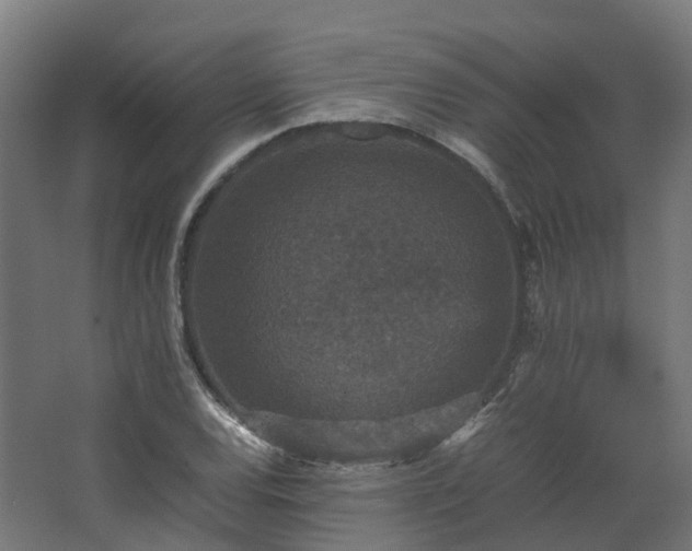 X0000067851120200604201300
