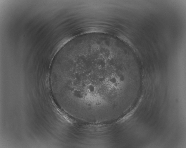 X0000067851121200604201300