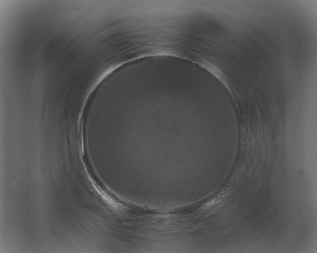 X0000067851127200604201300
