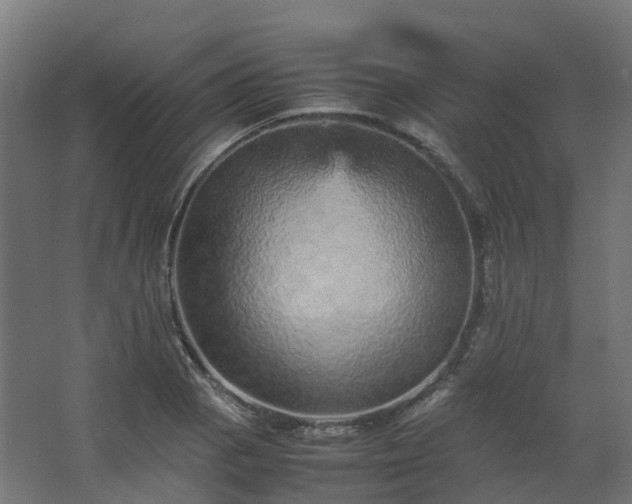 X0000067851129200604201300