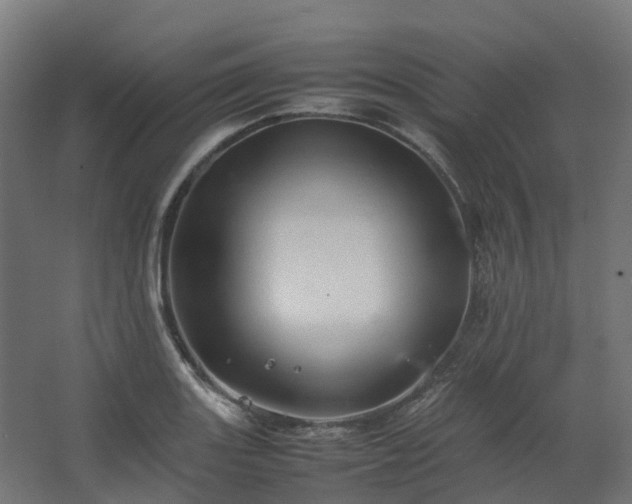 X0000067851131200604201300