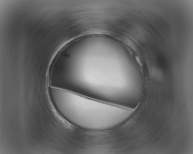 X0000067851132200604201300