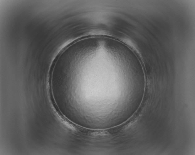 X0000067851133200604201300