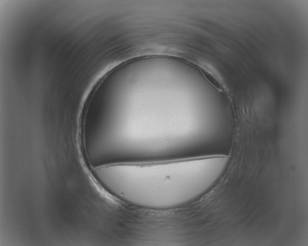 X0000067851136200604201300