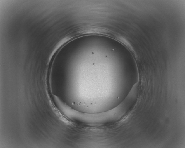 X0000067851138200604201300