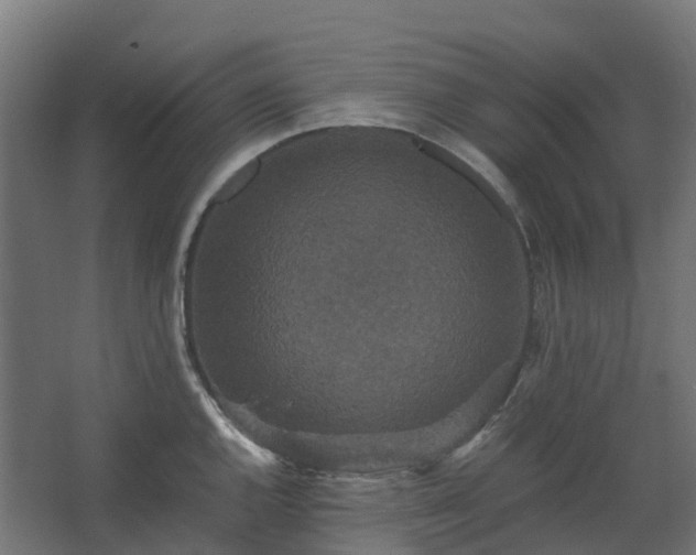 X0000067851144200604201301