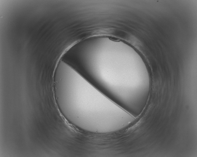 X0000067851145200604201301