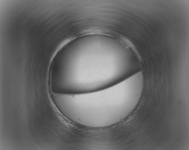 X0000067851146200604201301