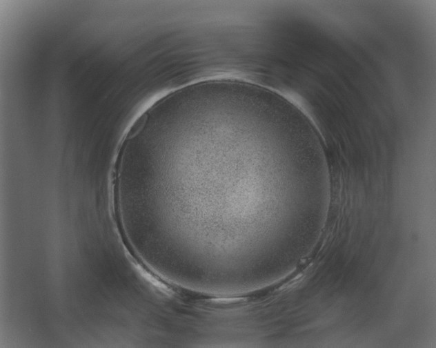 X0000067851151200604201301