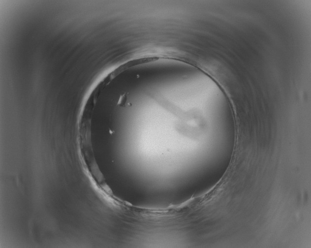 X0000067851152200604201301