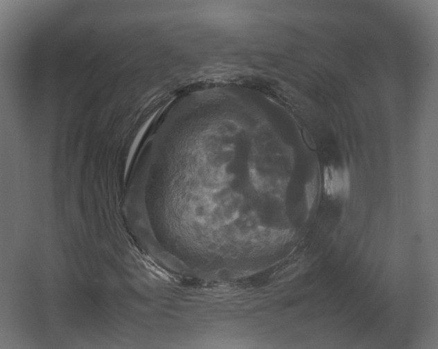 X0000067851155200604201300