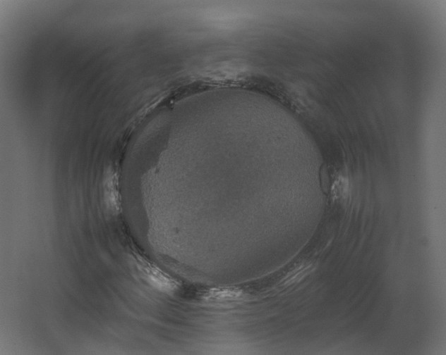 X0000067851156200604201300