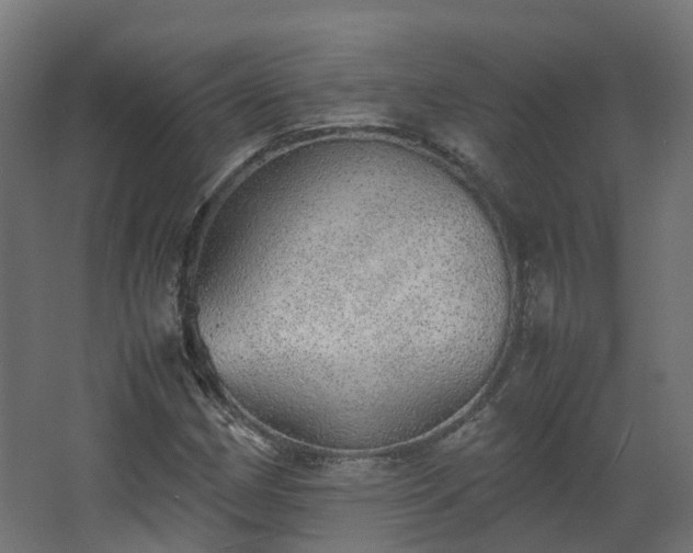 X0000067851162200604201300