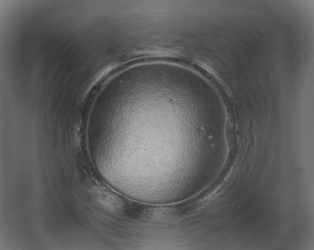 X0000067851163200604201300