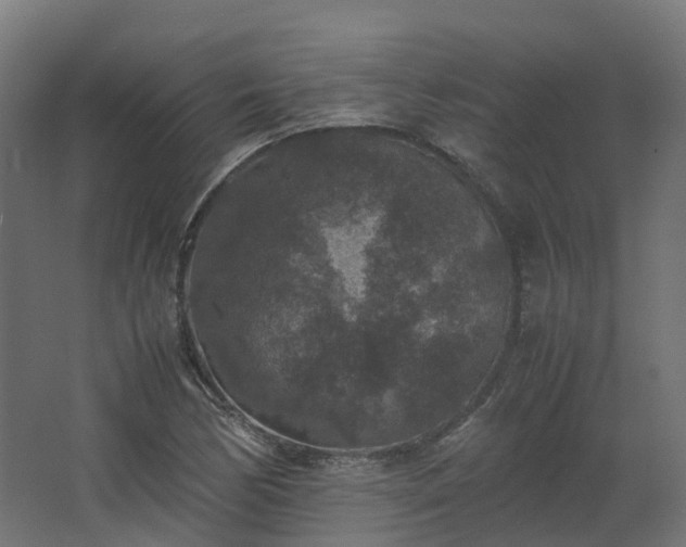 X0000067851170200604201300