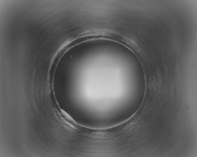 X0000067851172200604201300