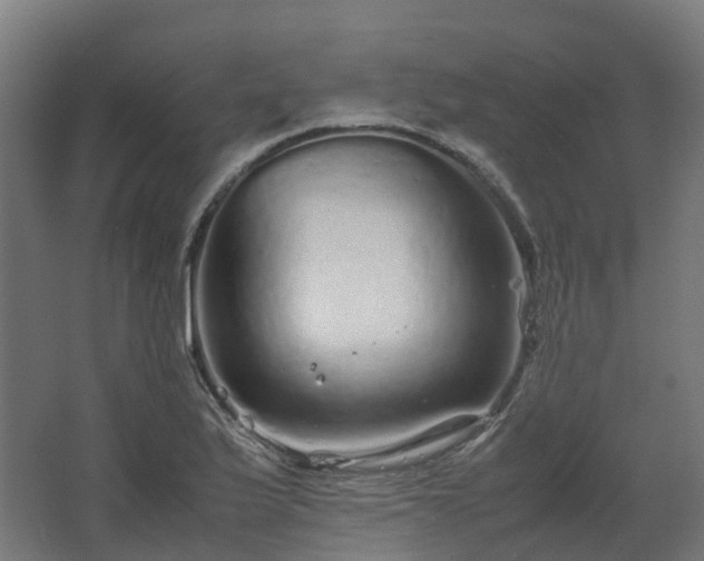 X0000067851175200604201259