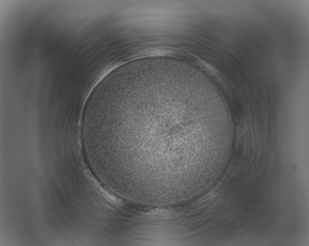 X0000067851178200604201259