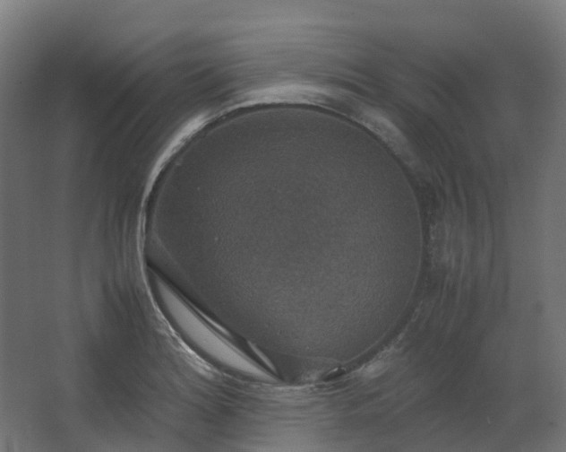 X0000067851180200604201259