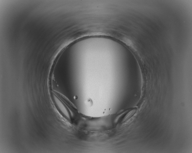 X0000067851181200604201259