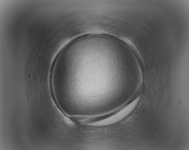 X0000067851183200604201259