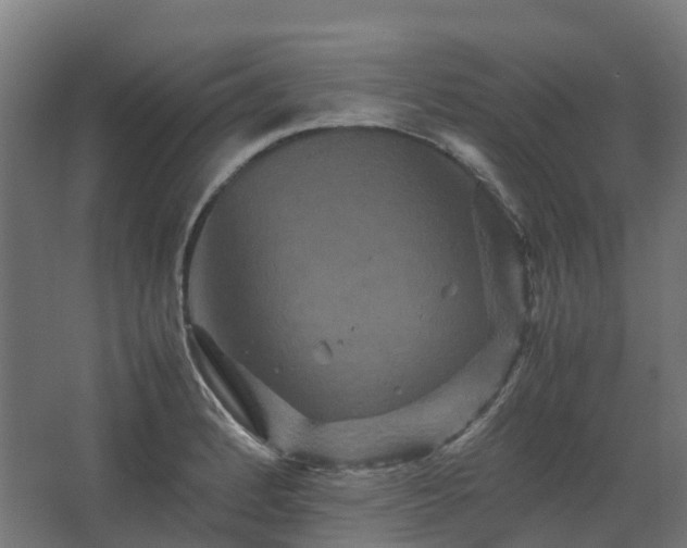 X0000067851184200604201259
