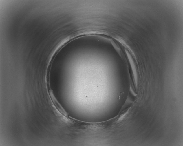 X0000067851189200604201259