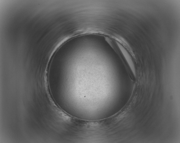 X0000067851190200604201259