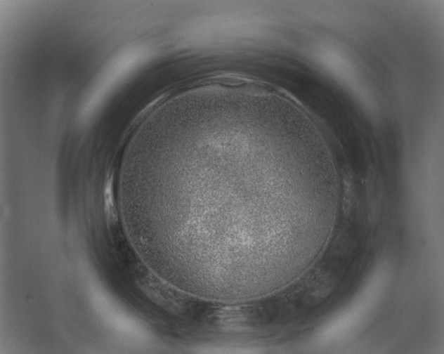 X0000067851198200604201259