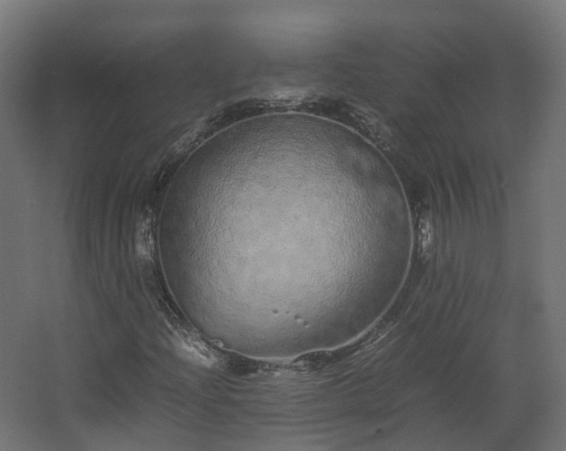 X0000067851204200604201258
