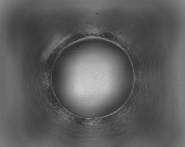 X0000067851205200604201258