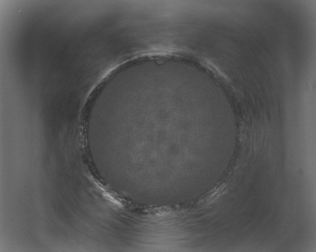X0000067851208200604201258