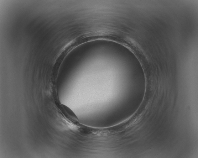 X0000067851210200604201258