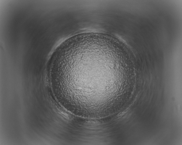 X0000067851215200604201258