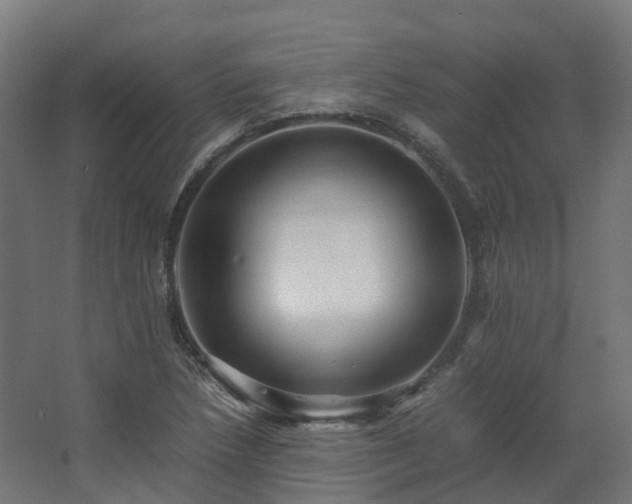 X0000067851218200604201259