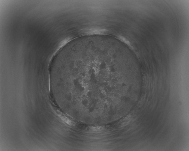 X0000067851219200604201259