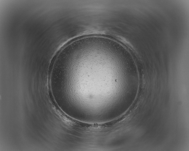 X0000067851220200604201259