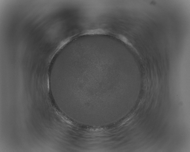 X0000067851221200604201259