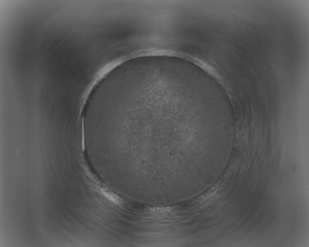 X0000067851223200604201259