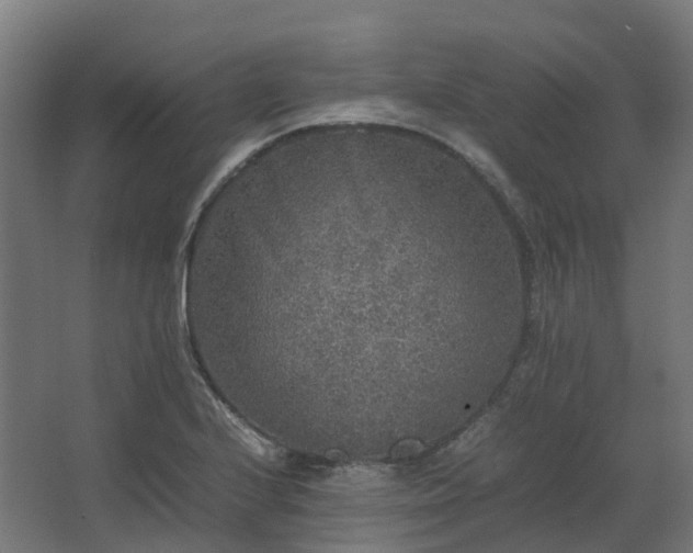 X0000067851224200604201259