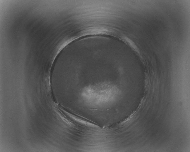 X0000067851226200604201259