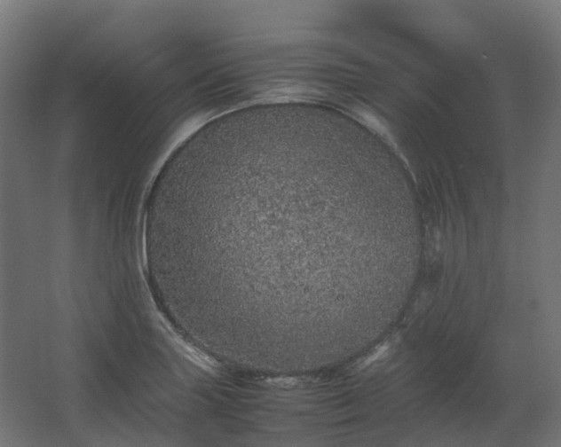 X0000067851227200604201259