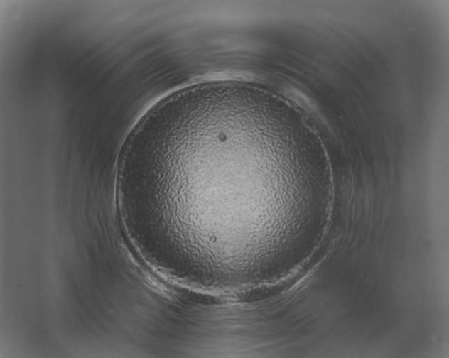 X0000067851228200604201259